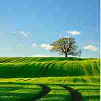 爬﻿虫﻿机﻿器‍人‍安﻿装​视﻿频​